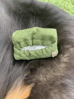 Bobkovník klasický